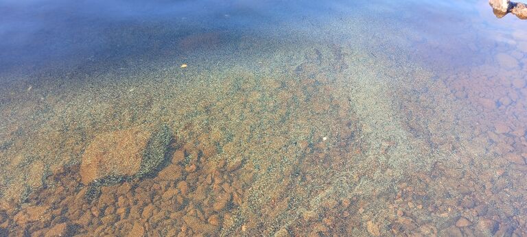 Kuva, Kuikkaranta.jpg