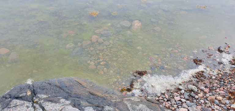 Suvisaaristo-Lauttasaari-Pieni Lehtisaari -ObsIMG-202306221140-6494b2d8702b3.png