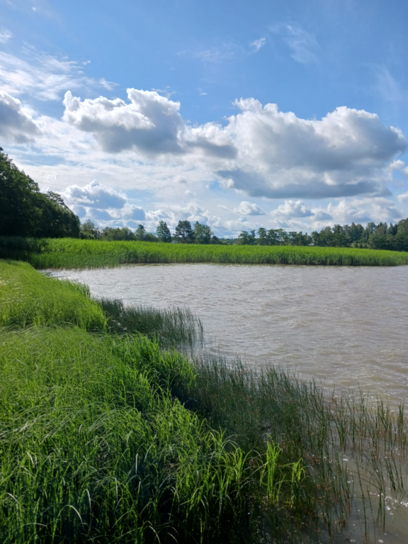 Villikkalanjärvi (16.003.1.003)-Valtakunnallinen sinileväseuranta-ObsIMG-202307181016-64b63ca36c680.png