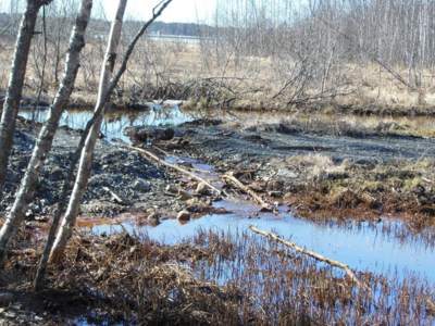 DSCN5828 Alue 6 yleis.png