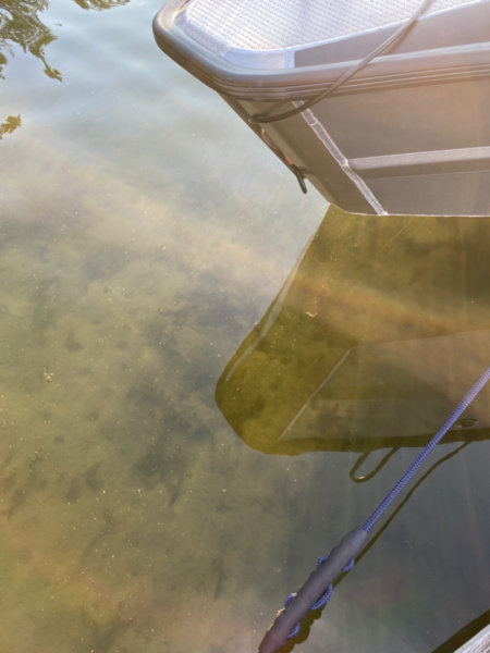 Tiedosto:Inkoo Fagervik-Österviken, Jakob Ramsjö-ObsALG-202107232102-60fb04f7d840b.png