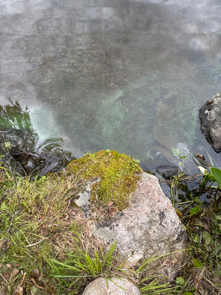 Konnivesi (14.131.1.001)-Läpianseutu-ObsALG-202506281502-685fda3e40e76.png