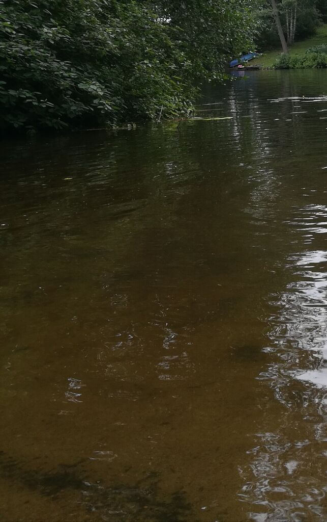 Mervenselän alue (35.232)-Lepaan Kartanon ranta-ObsIMG-201807111657-90.jpg