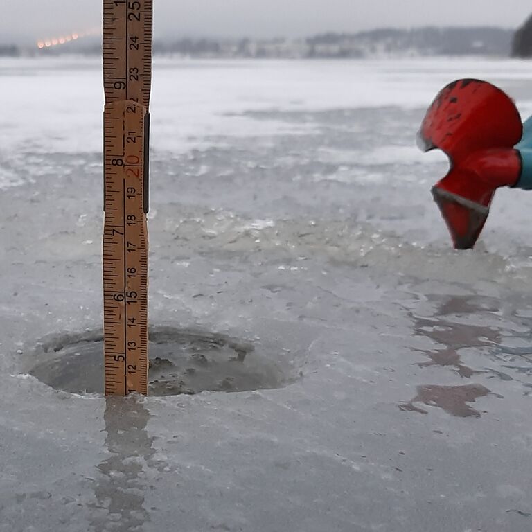 Palokkajärvi (14.291.1.001)-Tyyppälänlahden uimaranta-ObsICE-202012291258-43.jpg