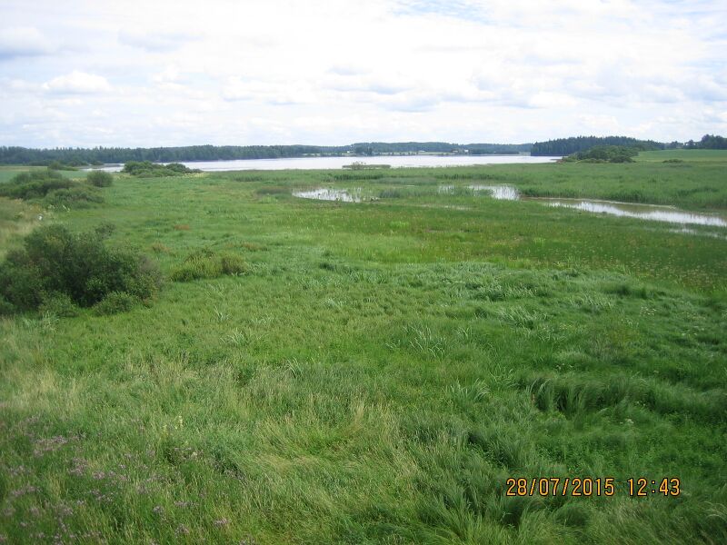 Tiedosto:Sayhtee Artjarvi.JPG