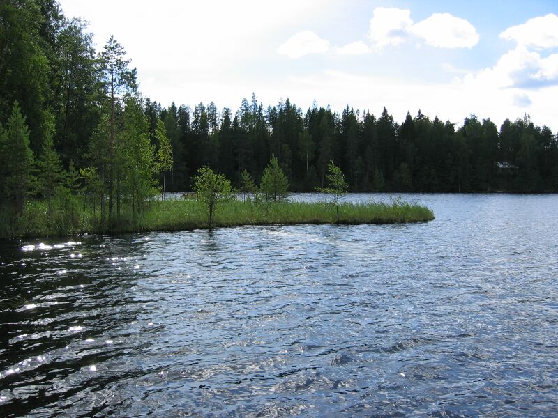 Tiedosto:Usminjarvi 1.JPG