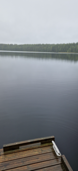 Ylinen Rautjärvi (35.787.1.039)-Kimara-ObsIMG-202508311040-1756626232599.png