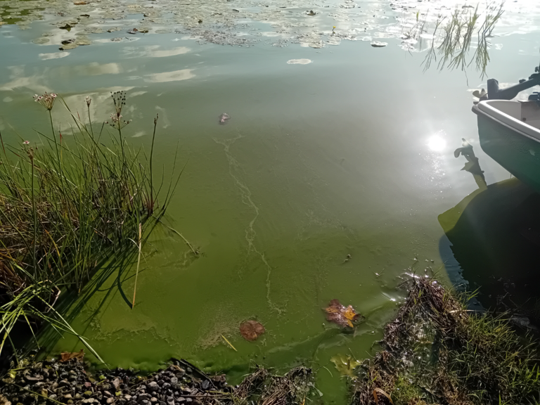 Hiidenvesi (23.031.1.001)-Kirkonkylän veneranta-ObsALG-202508141747-1755186524834.png