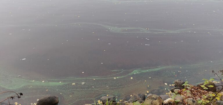 Kätkänjärvi (44.073.1.002)-Synkeälahti-ObsIMG-202010151153-50.jpg