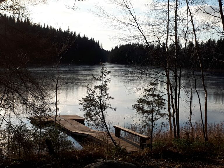 Vesuminjärvi (14.173.1.040)-Haaralampi-ObsIMG-201911151816-65.jpeg