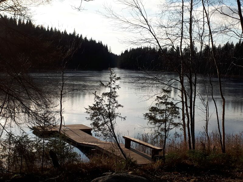 Tiedosto:Vesuminjärvi (14.173.1.040)-Haaralampi-ObsIMG-201911151816-65.jpeg