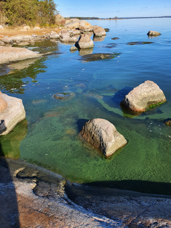 Keipsalo-Rotarien sinileväseuranta (Stora Småholmen)-ObsIMG-202109271202-6151893654bf8.png