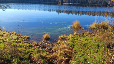 Koukkujärvi (35.242.1.008)-Koukkujärvi-ObsALG-202510181849-68f3b7da8911c.png