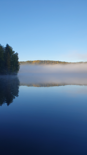 Päijänne (yhd.)-Kopsuonlahti, Koveronranta-ObsIMG-202509280844-1759038420623.png