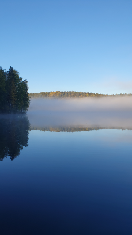 Päijänne (yhd.)-Kopsuonlahti, Koveronranta-ObsIMG-202509280844-1759038420623.png