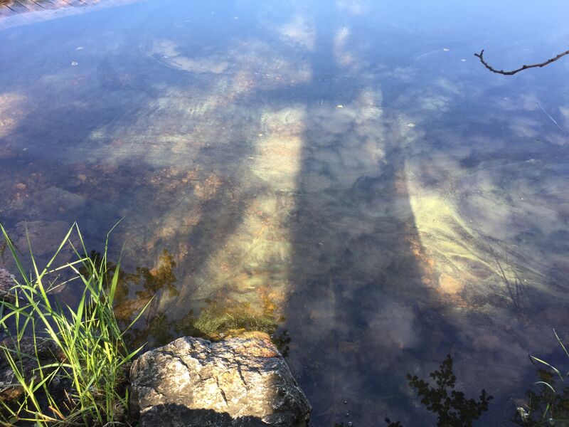 Tiedosto:Saimaa (04.112.1.001)-Louhivesi-ObsALG-201807130918-14.jpg