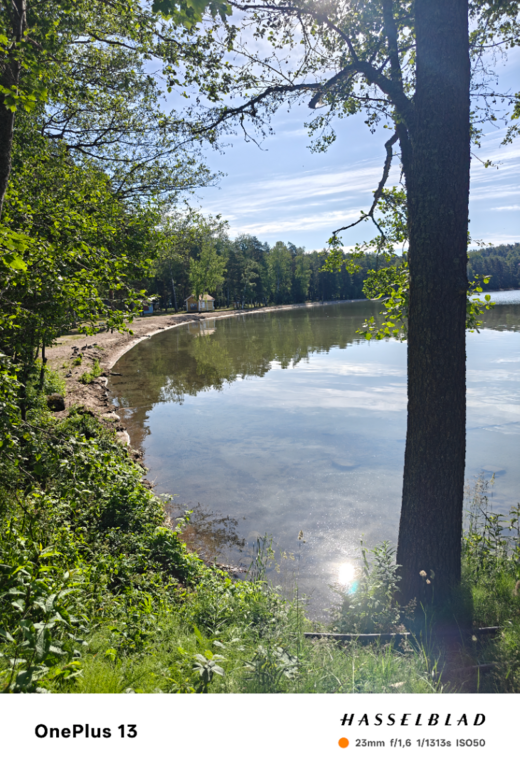 Vesijärvi (14.241.1.001)-Valtakunnallinen sinileväseuranta (pohjoisosa)-ObsIMG-202507020856-1751435848987.png