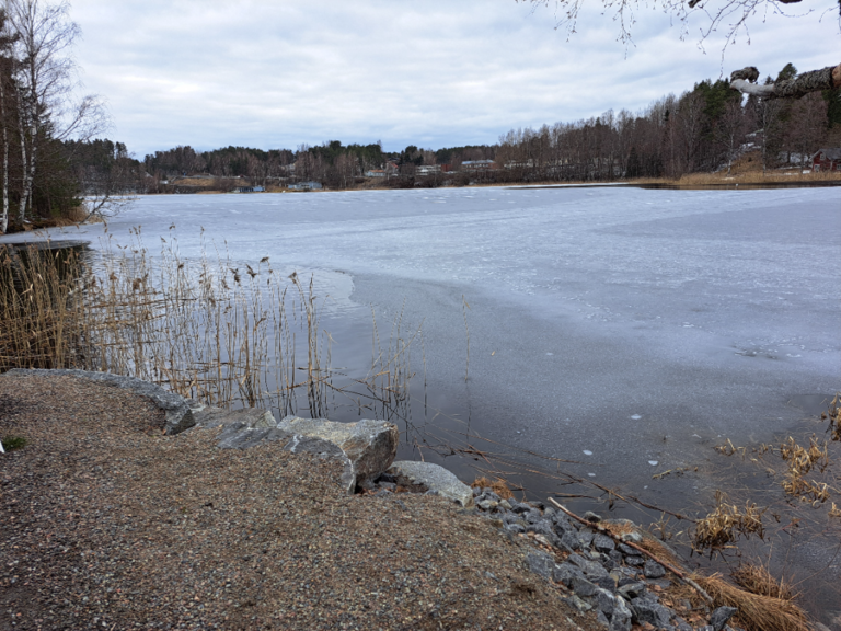 Saimaa (04.112.1.001)-Kattilanlahti-Kaihun kierros-ObsIMG-202404241747-66291d6df360b.png