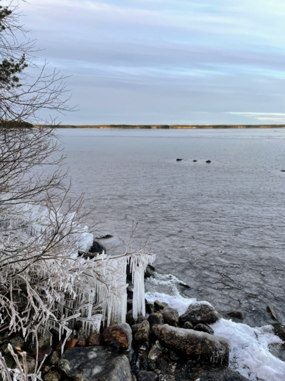 Simojärvi (yhd.)-Havaintopaikka 1-ObsIMG-202511151040-1763381859791.png