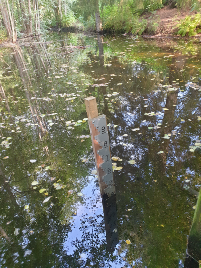 Urpolanjoen valuma-alue (04.152)-Urpolan aarimaan puistoväylän silta-ObsIMG-202509061030-1757143879020.png