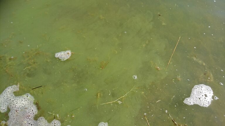 20200819 Haukilahti.jpg