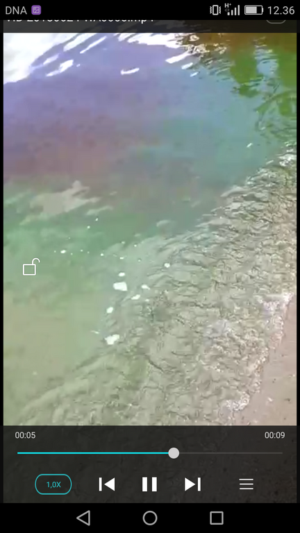 Kallavesi (yhd.)-Kettulanlahti taiPäiväranta epävirallinen uimaranta-ObsIMG-201806241230-20.png