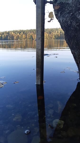 Tiedosto:20200927 092945.jpg