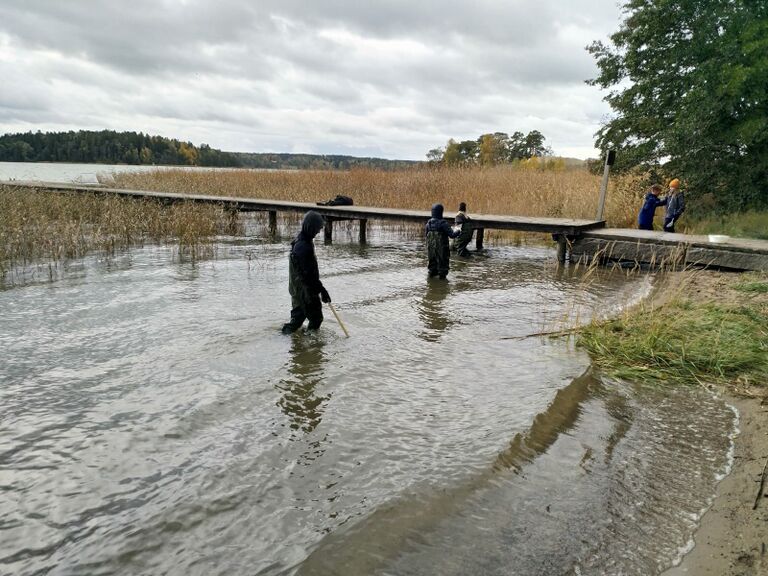 Håvning malmnäs.jpg