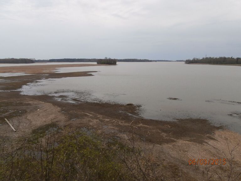 Hakalan lintutornista.JPG