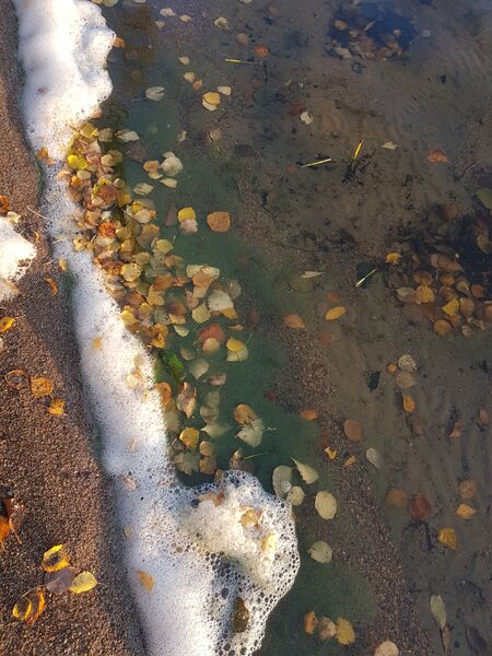 Tiedosto:Keitele (yhd.)-Matilanvirta2-ObsIMG-202010030859-32.jpg