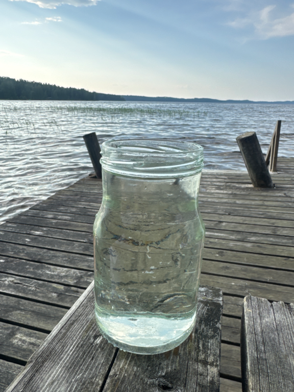 Päijänne (yhd.)-Rotarien sinileväseuranta (Honkaniemi, Kuhapolku)-ObsIMG-202507151901-1752595388092.png