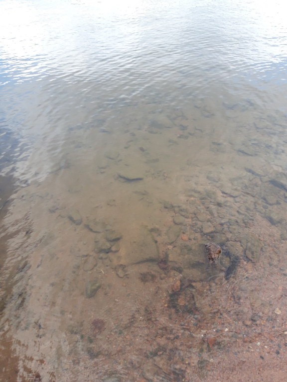 Pyhäjärvi (34.031.1.001)-Valtakunnallinen sinileväseuranta (Katismaan uimaranta)-ObsALG-202108101358-61125c4c573bf.png