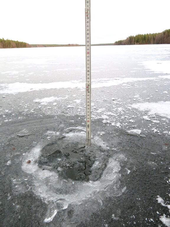 Sääksjärvi (23.097.1.002)-Sääksjärvi-ObsICE-202001011400-25.jpeg