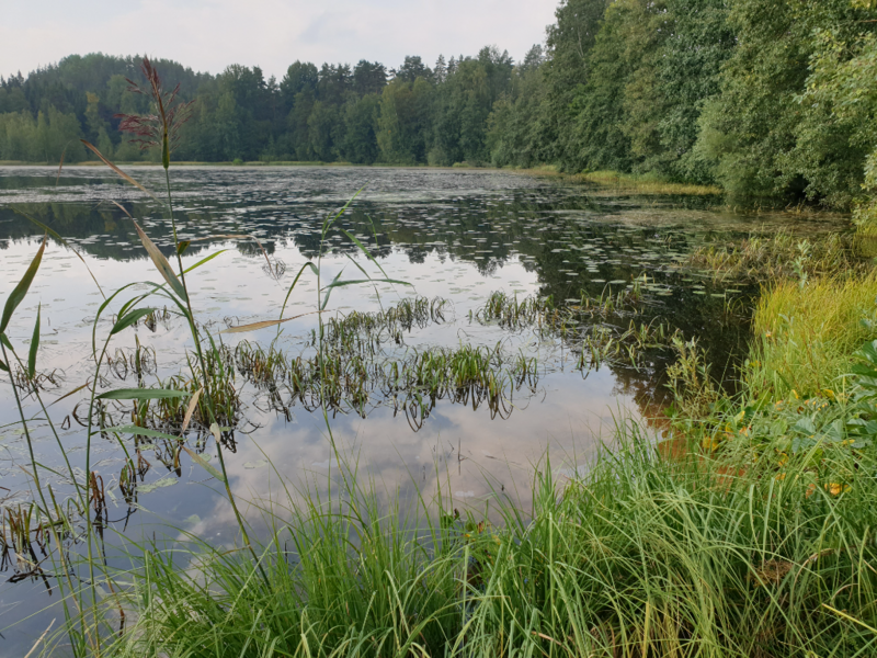 Tiedosto:Urpolanlampi (04.152.1.001)-Uusi hulevesiputki-ObsIMG-202409031046-66d6bfcd92ca1.png