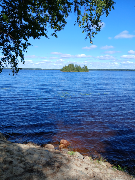 Tiedosto:Alajärvi (47.043.1.001)-Valtakunnallinen sinileväseuranta (Pynttärinniemi, Hauta-ahon uimapaikka)-ObsALG-202508111423-1754911450324.png