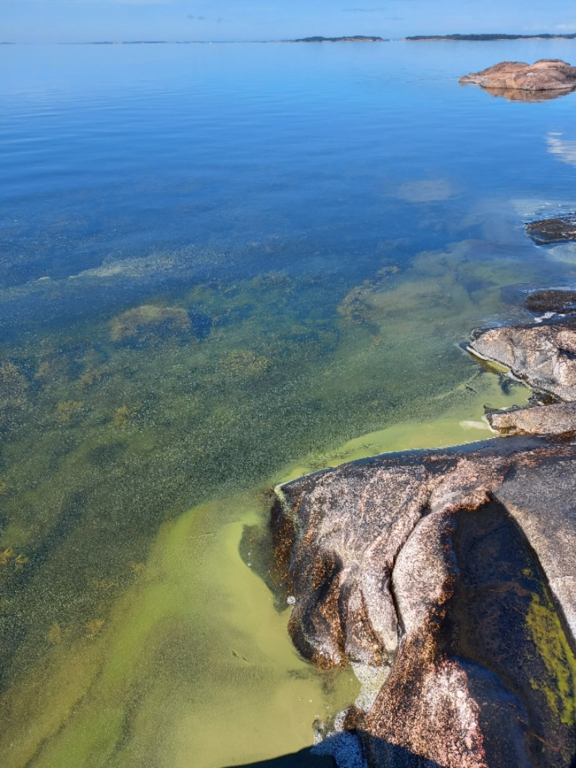 Gullkronan selän ulkosaaristoalue-Storlandet-ObsIMG-202207191013-62d677ba2f46e.png