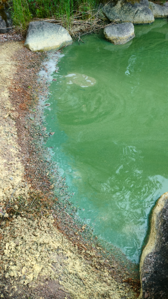 Havainto-Sumiainen, Isoniemi-ObsIMG-202506281626-685fee9356c5f.png