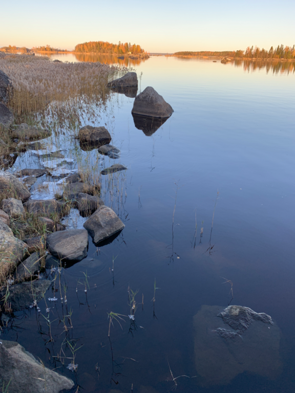 Monåfjärden-Kalotfjärden-Norra Heplotan, itäranta-ObsIMG-202310211653-6533d7b9ef834.png