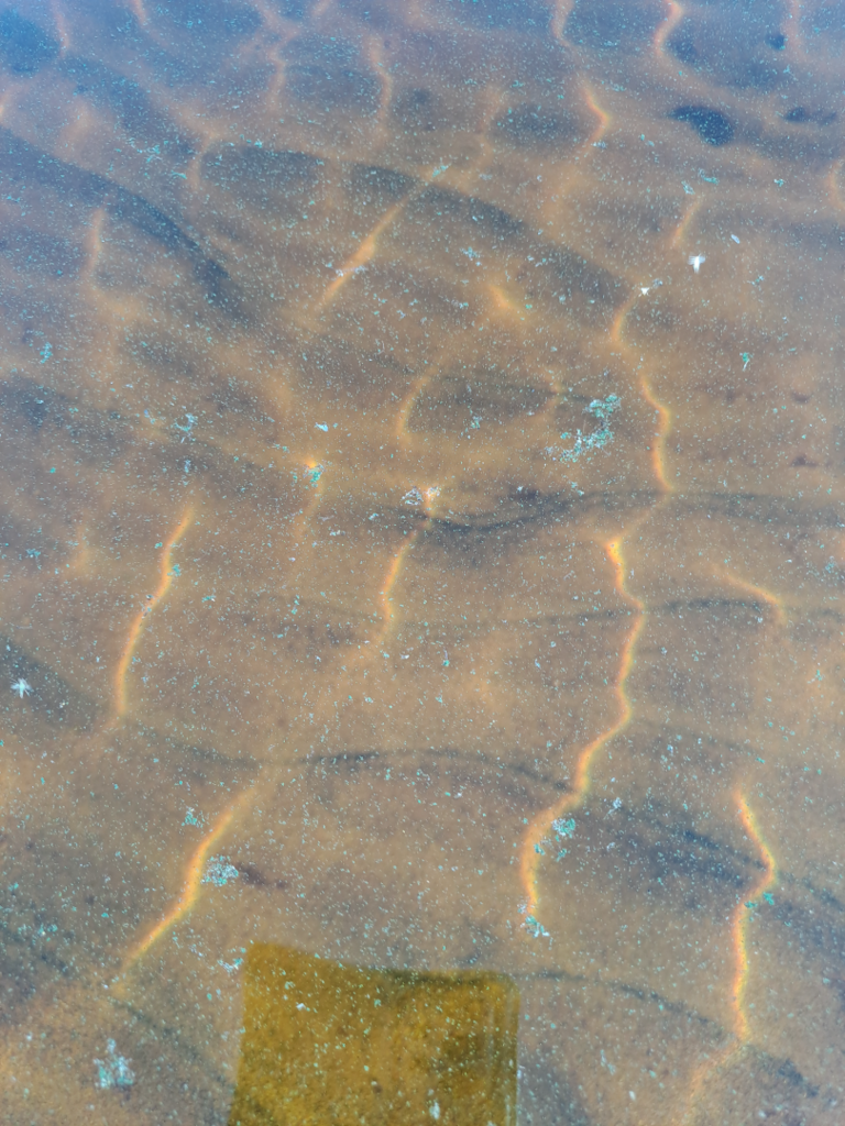 Ontojärvi - Nurmesjärvi (59.911.1.001)-Roukonpuro-ObsIMG-202507301843-688a3fb03b95c.png