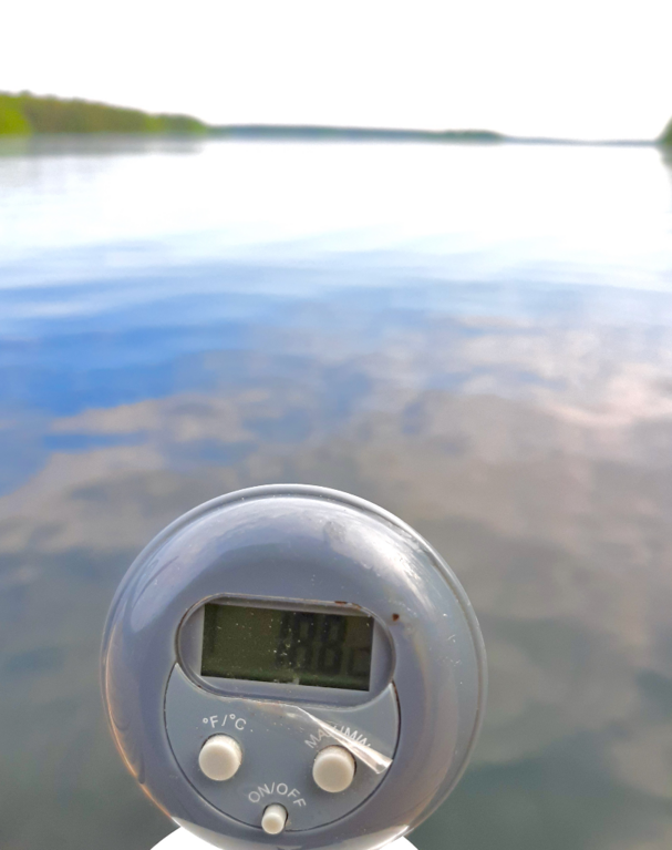 Sääksjärvi (23.097.1.002)-Sääksjärvi-ObsTEMP-202405251000-66519fbec64c3.png