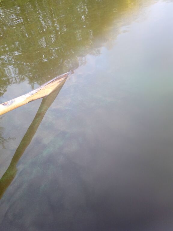 Jalanti (35.281.1.002)-Vuoltee-ObsIMG-201909270011-77.jpg