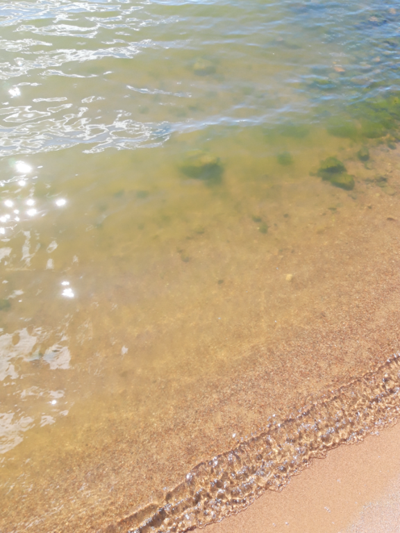 Köyliönjärvi (34.054.1.001)-Valtakunnallinen sinileväseuranta (Yttilän Otta)-ObsALG-202208021505-62e91333add2d.png