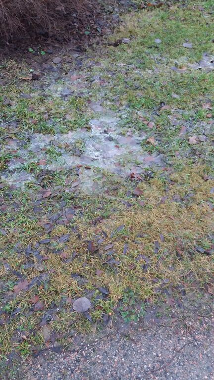 Keravanjoen alaosan alue (21.091)-Havaintopaikka 1-ObsIMG-201612271616-18.jpg