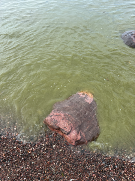 Tiedosto:Örön ja Jurmon välinen ulkosaaristoalue-Örön länsirannikko-ObsALG-202407241243-66a0cd3e77322.png