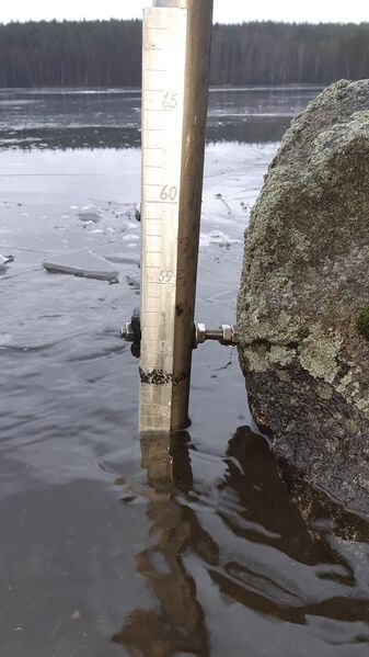 Tiedosto:20200216 132830.jpg