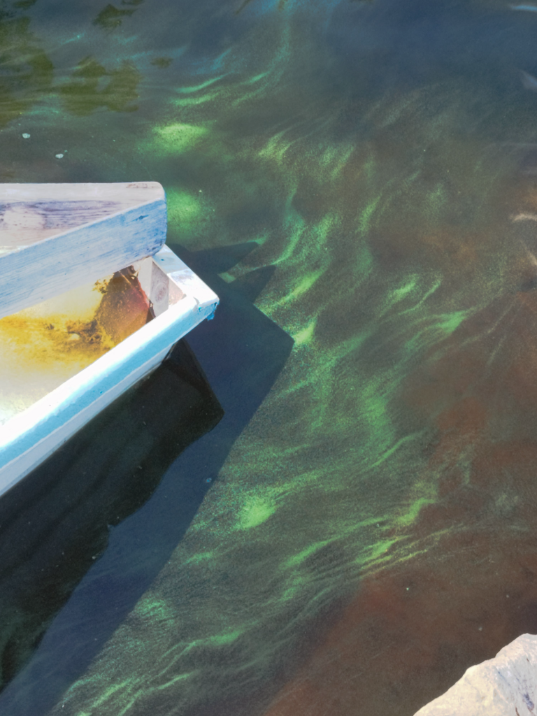 Kiantajärvi (yhd.)-Vaamanniemi-ObsIMG-202507061821-686a95362a39c.png