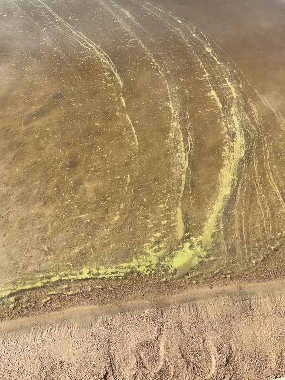 Kuusijärvi 3.8.2022.jpg