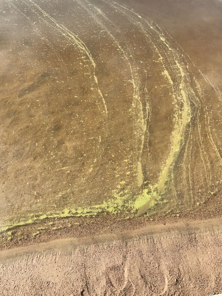 Kuusijärvi 3.8.2022.jpg