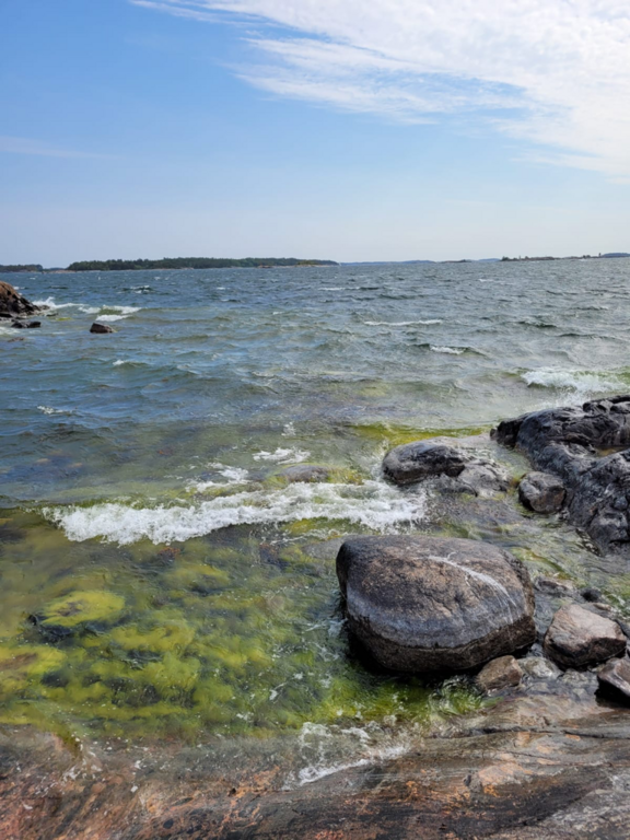 Porkkala-Jussarö-Rotarien sinileväseuranta (Gyltan)-ObsIMG-202306190829-648fe84dc2fbb.png
