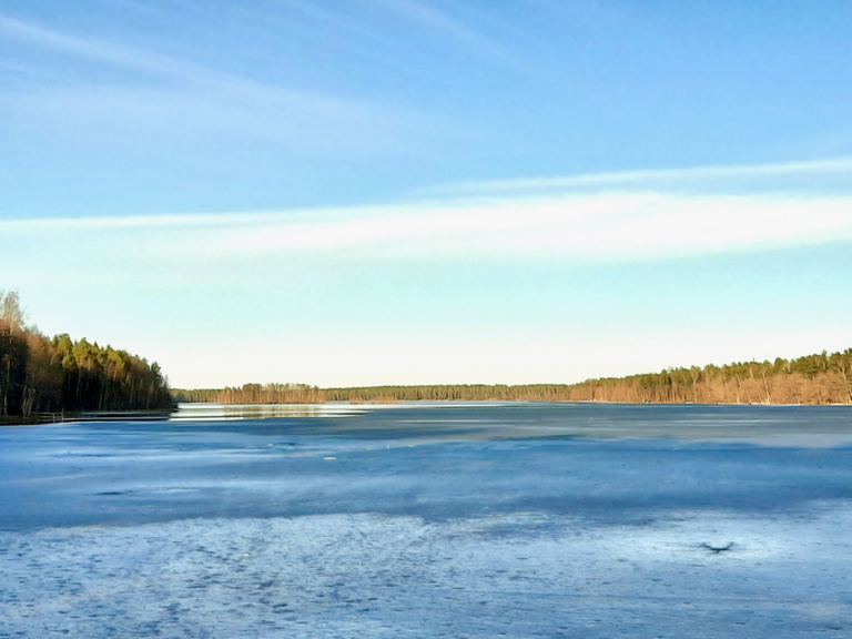 Sääksjärvi (23.097.1.002)-Sääksjärvi-ObsICE-202504011830-67ec15c6be827.png